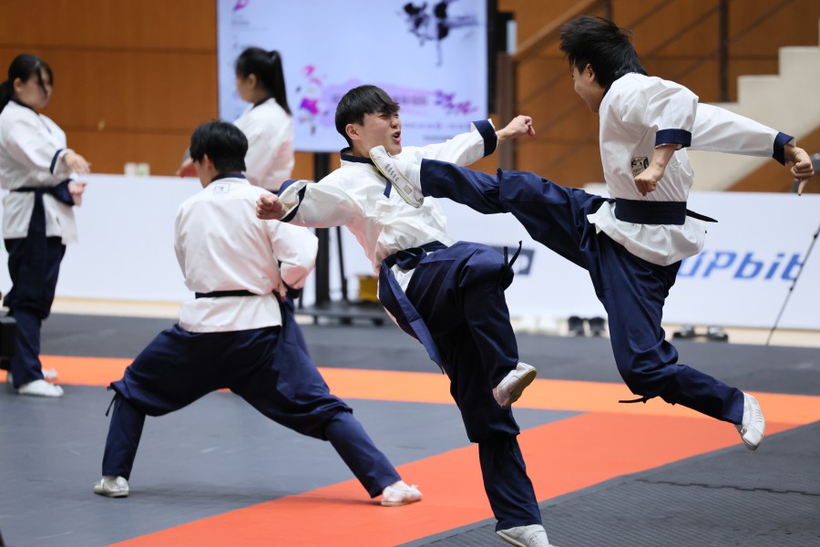 866f8b32eabf3369b36869b8f82a026f_1761026