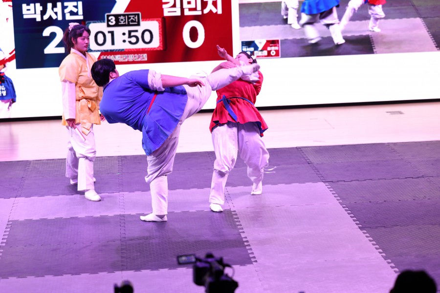 41e53b78b0110093bb37beb5fe49836b_1765160