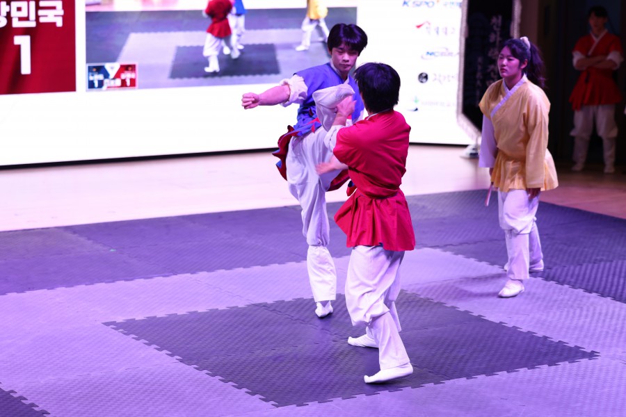 41e53b78b0110093bb37beb5fe49836b_1765160