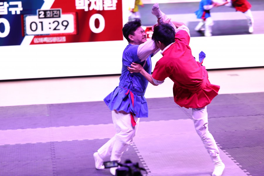 41e53b78b0110093bb37beb5fe49836b_1765160