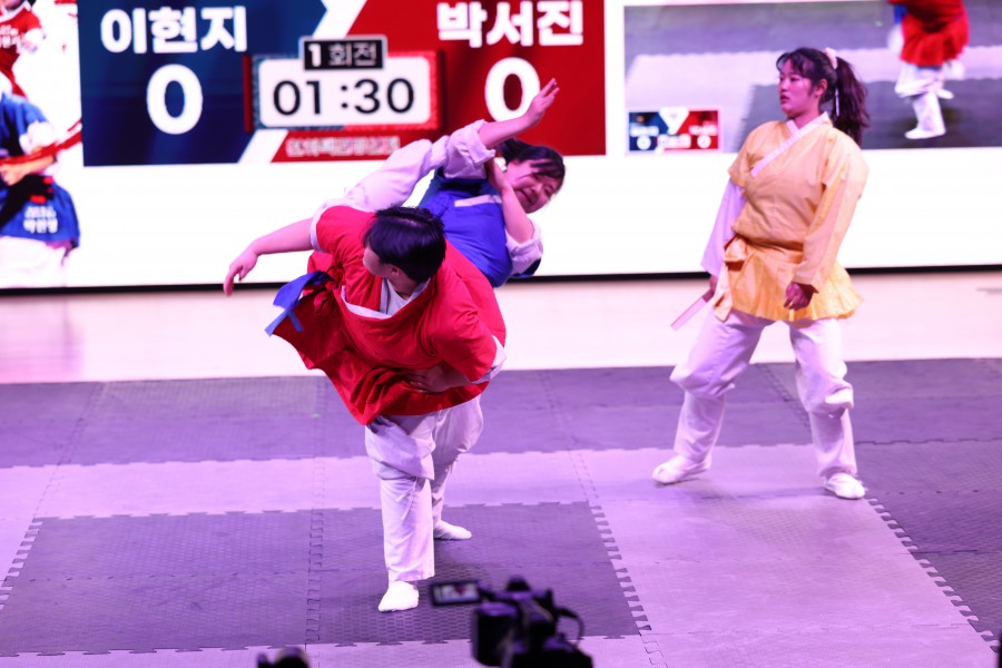 41e53b78b0110093bb37beb5fe49836b_1765160