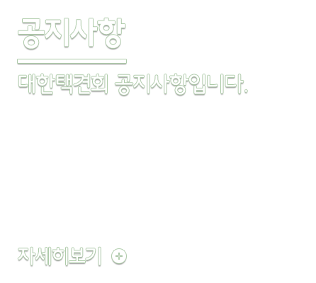 공지사항이미지입니다